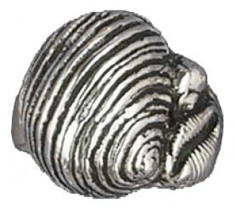 Bague 3 Coquillages (Ouverte)